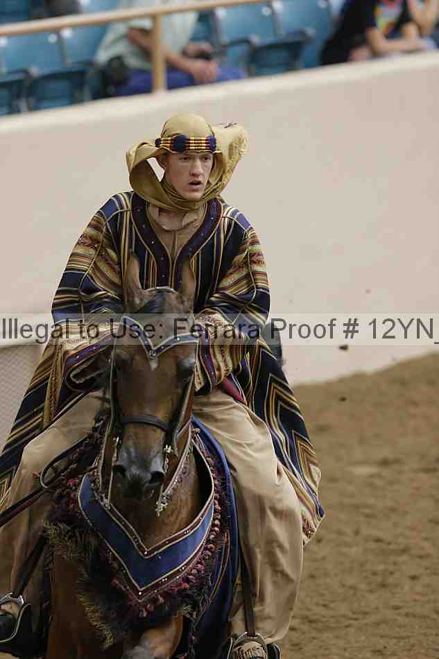 Proof Number 12yn_19216