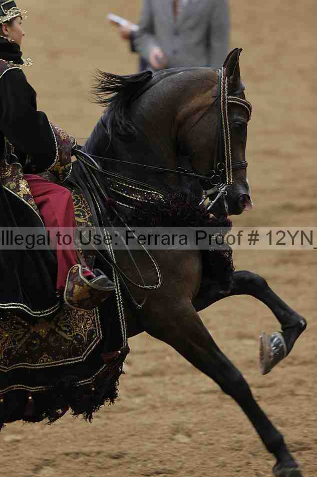 Proof Number 12yn_19228