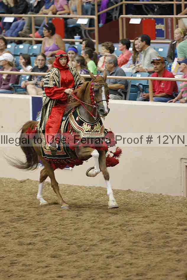 Proof Number 12yn_19235