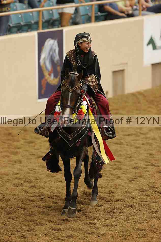 Proof Number 12yn_19277