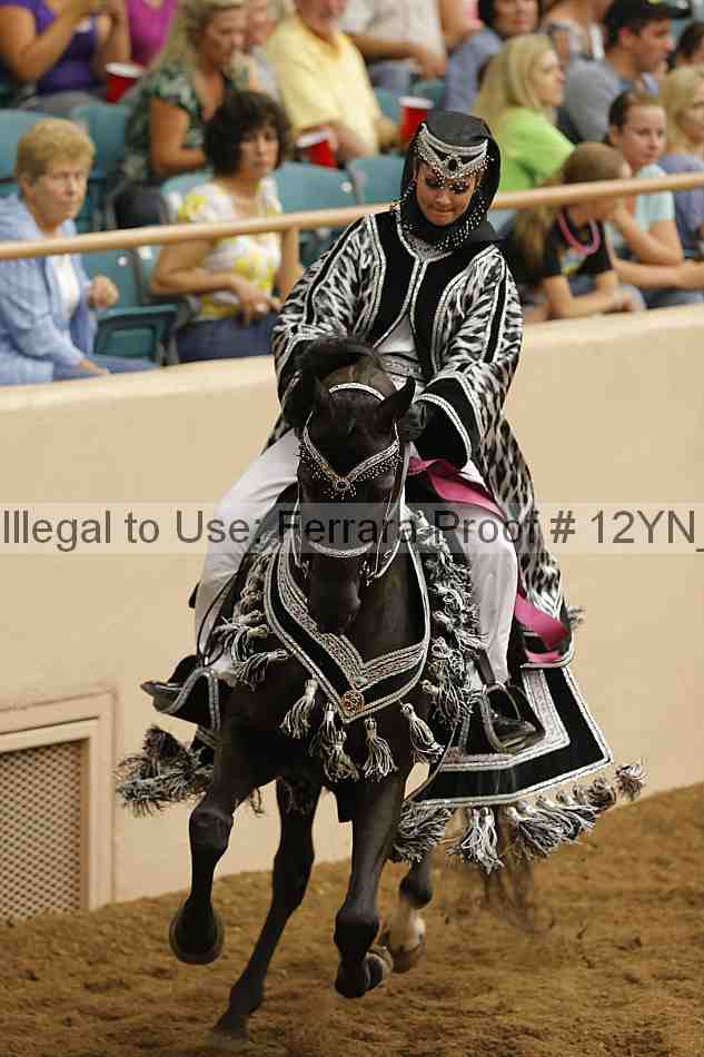 Proof Number 12yn_19315