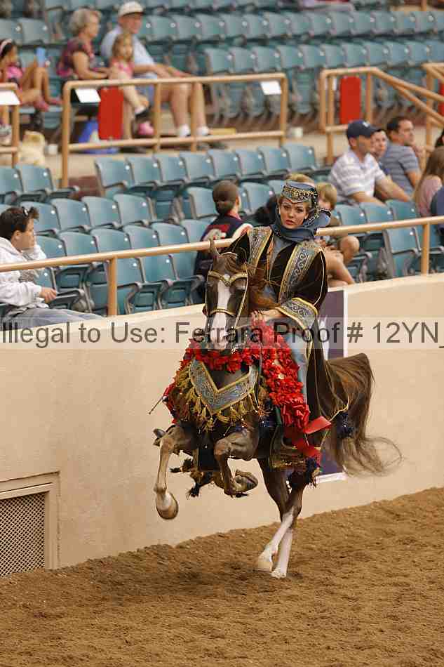 Proof Number 12yn_19329