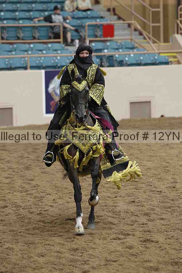 Proof Number 12yn_19350