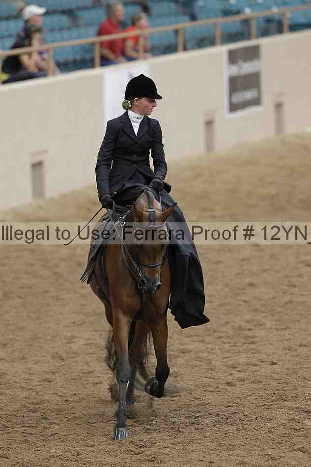 Proof Number 12yn_07332