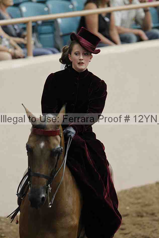 Proof Number 12yn_07343