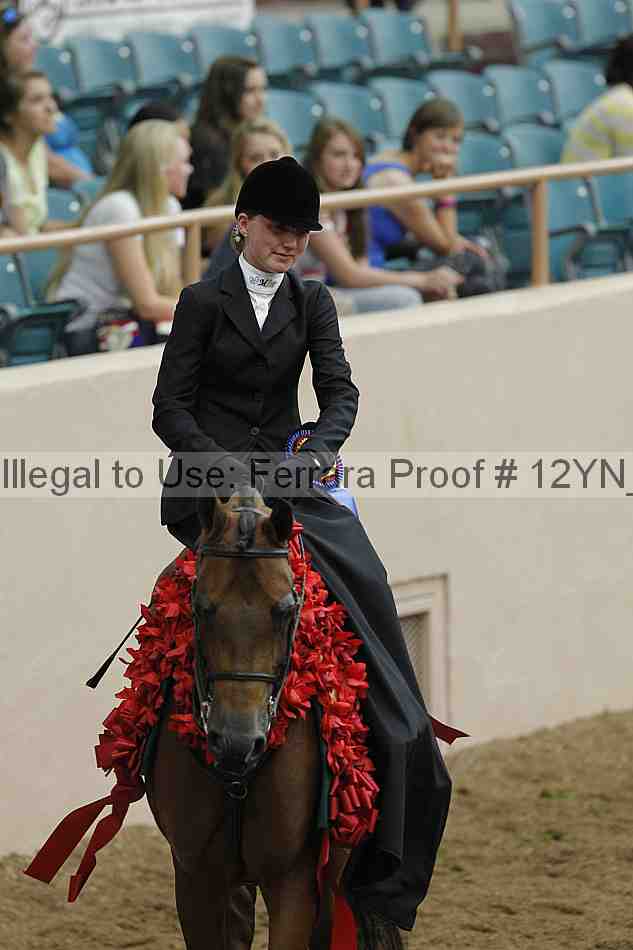 Proof Number 12yn_07409