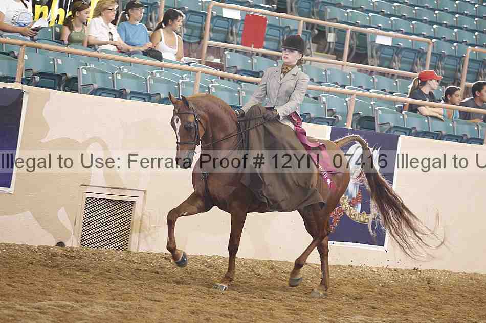 Proof Number 12yn_07416