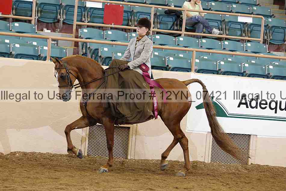 Proof Number 12yn_07421