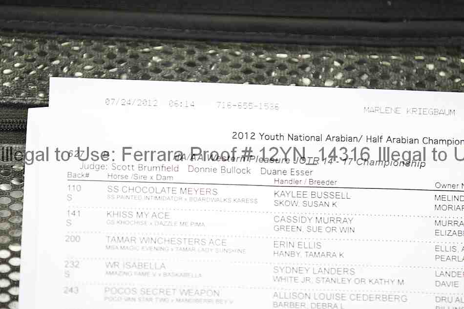 Proof Number 12yn_14316