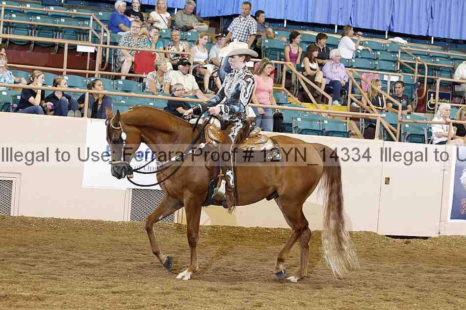 Proof Number 12yn_14334