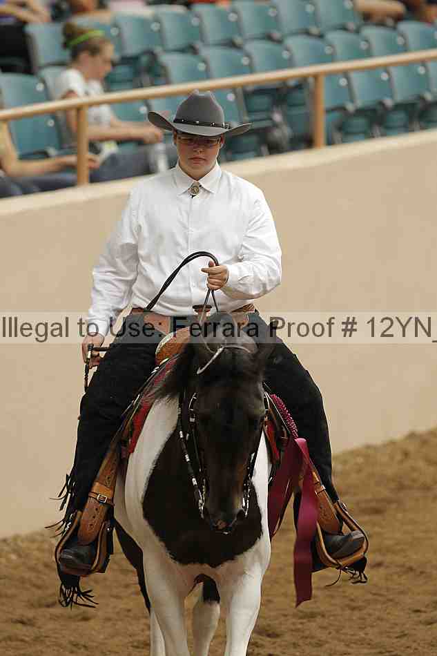 Proof Number 12yn_03707