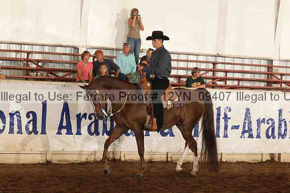 Proof Number 12yn_09407