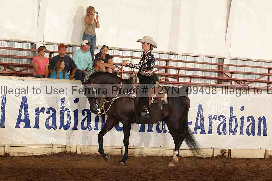 Proof Number 12yn_09408