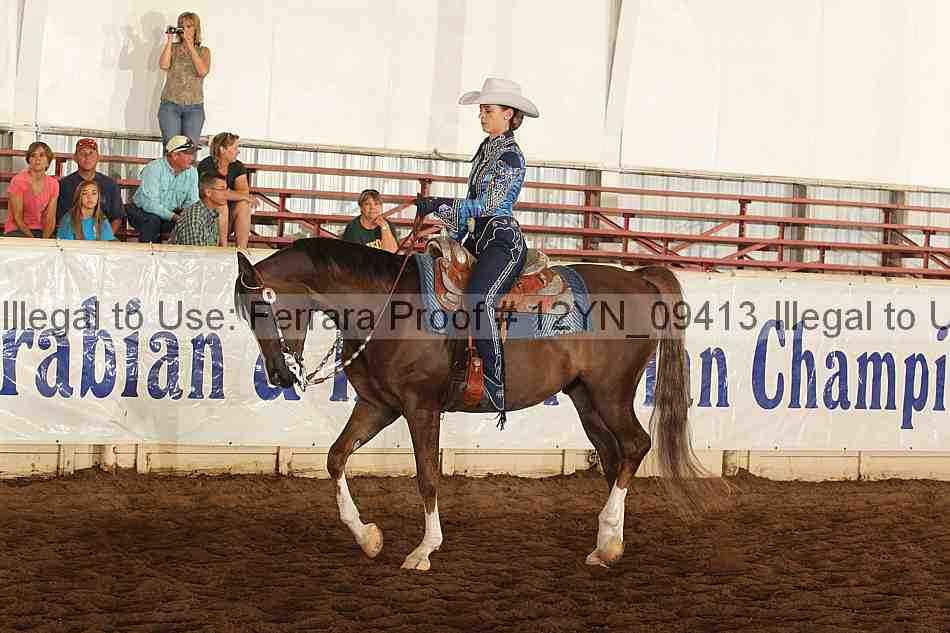 Proof Number 12yn_09413
