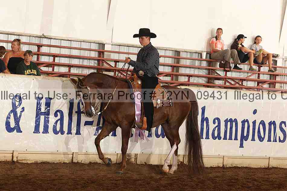 Proof Number 12yn_09431