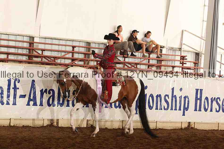 Proof Number 12yn_09434