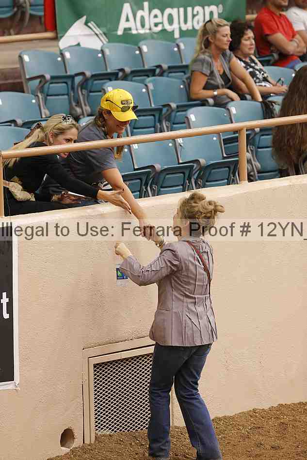 Proof Number 12yn_13707