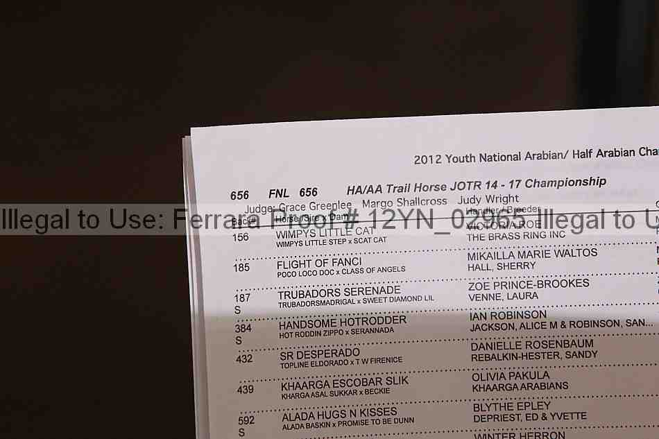 Proof Number 12yn_02965