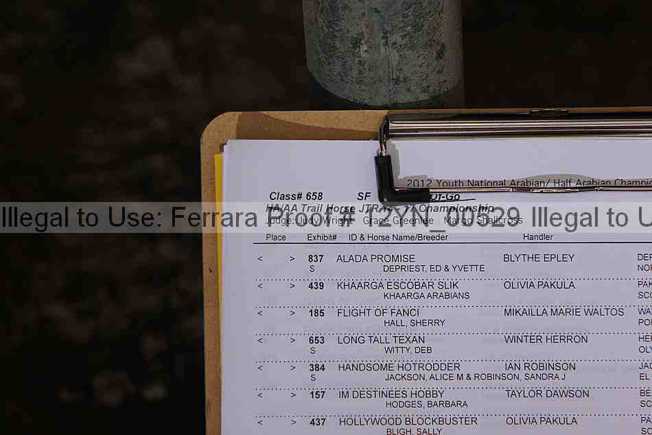 Proof Number 12yn_00529