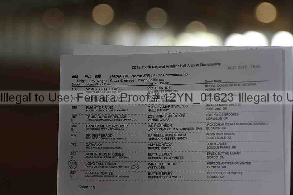 Proof Number 12yn_01623