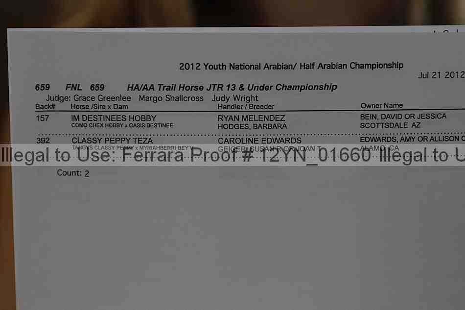 Proof Number 12yn_01660