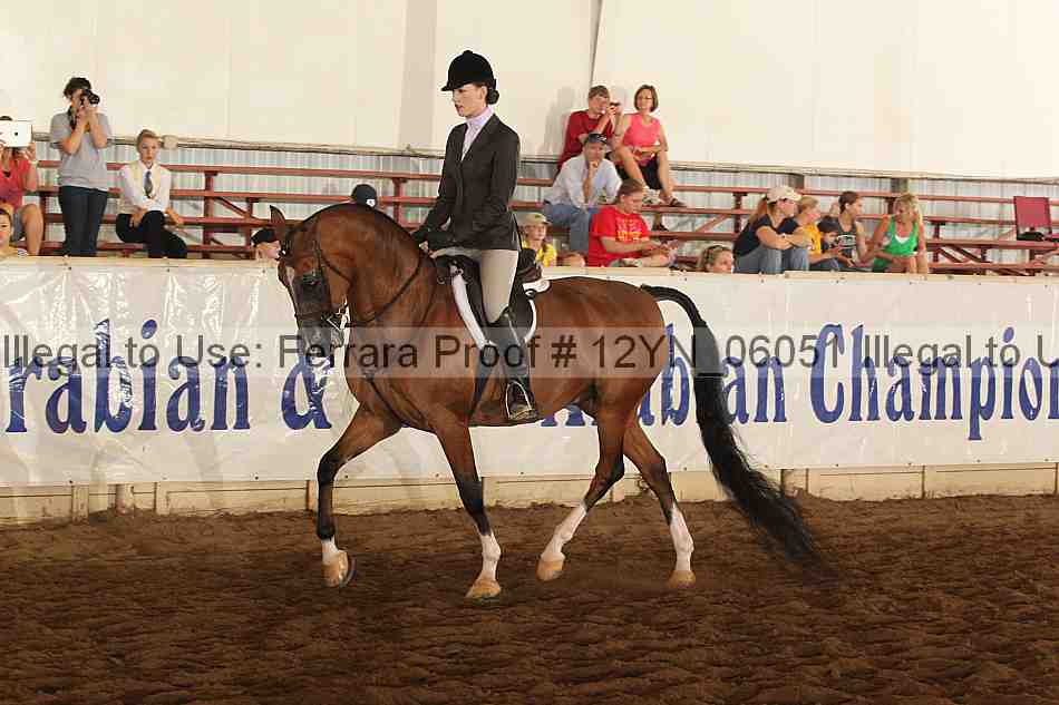 Proof Number 12yn_06051