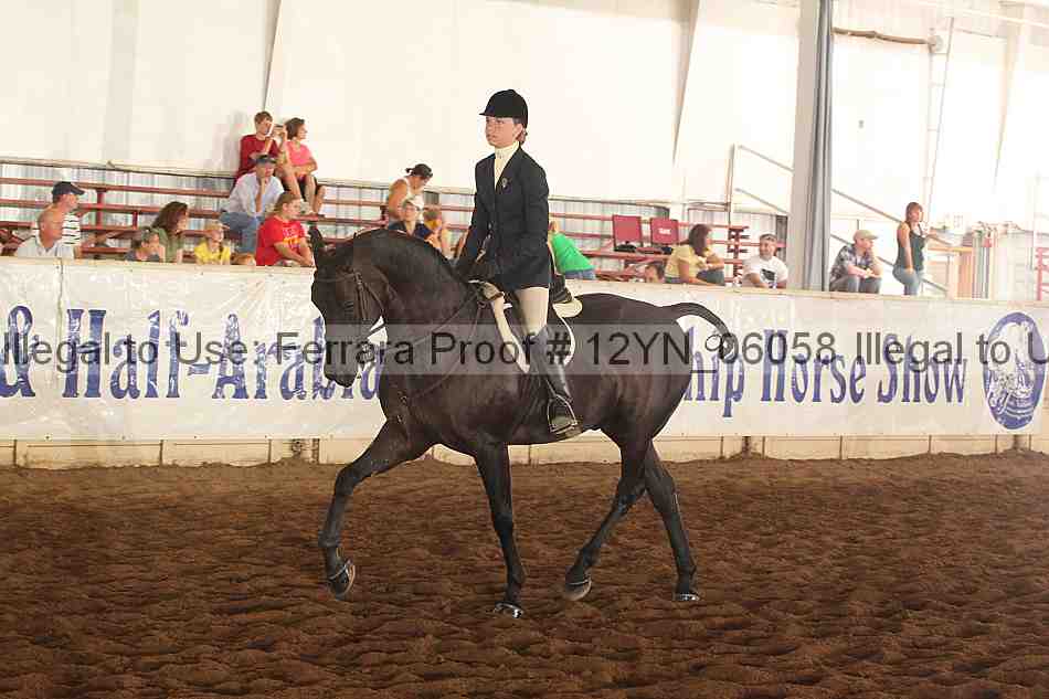 Proof Number 12yn_06058