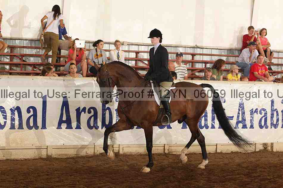 Proof Number 12yn_06059