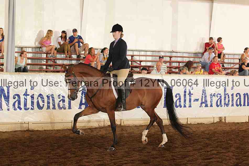 Proof Number 12yn_06064