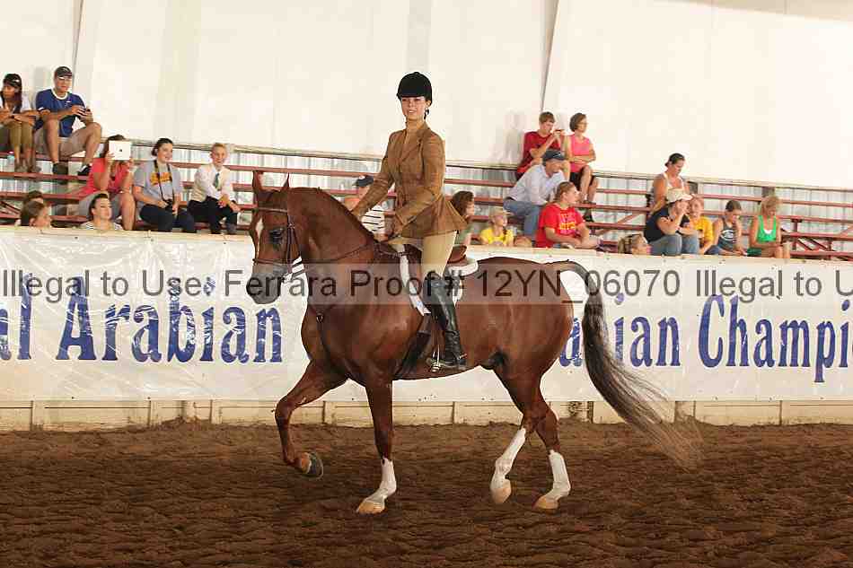 Proof Number 12yn_06070