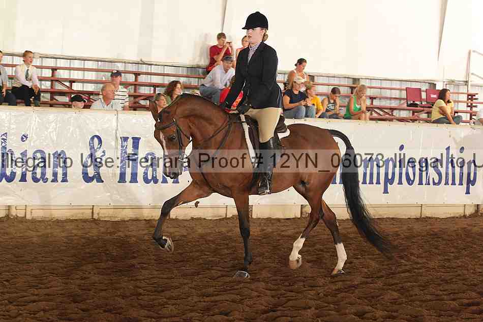 Proof Number 12yn_06073