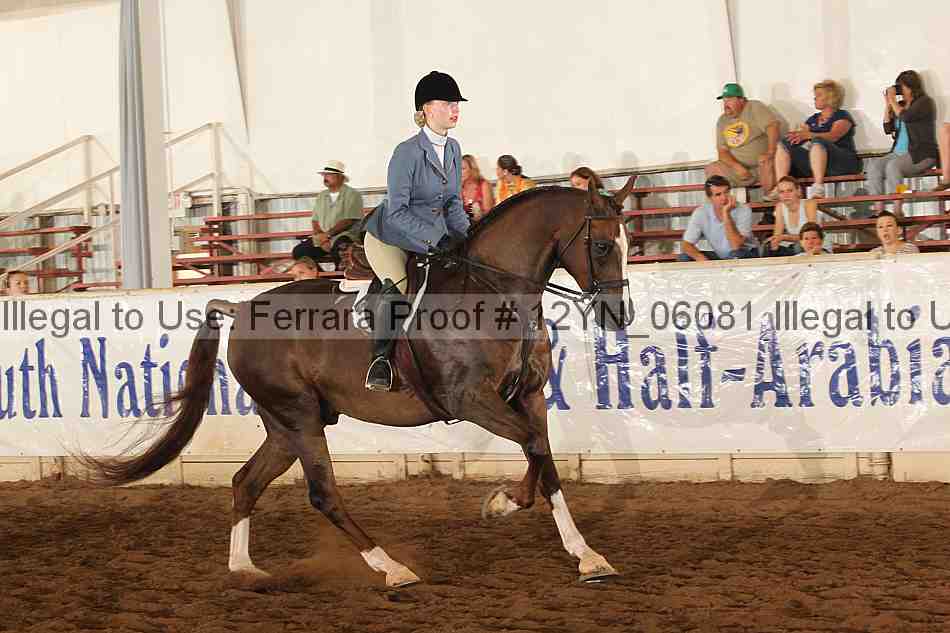 Proof Number 12yn_06081