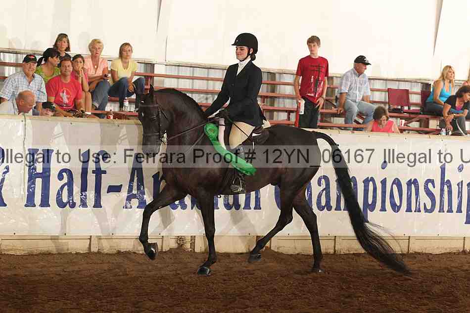 Proof Number 12yn_06167