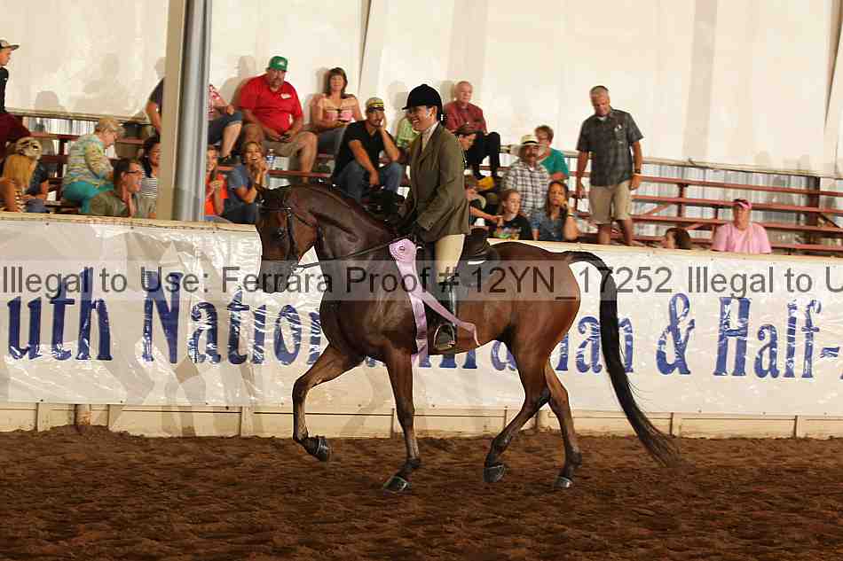 Proof Number 12yn_17252