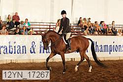 12yn_17267 thumbnail