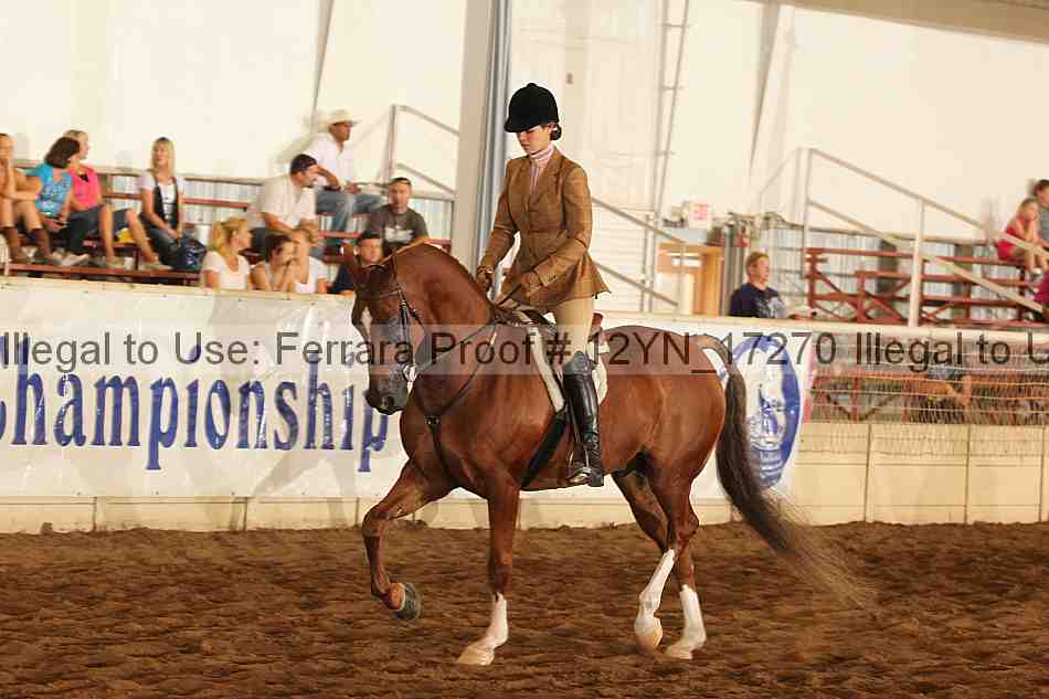 Proof Number 12yn_17270