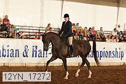 12yn_17272 thumbnail