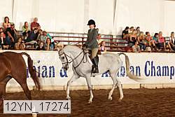 12yn_17274 thumbnail