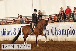 12yn_17278 thumbnail