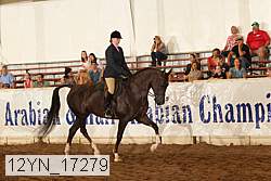 12yn_17279 thumbnail