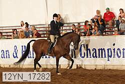 12yn_17282 thumbnail