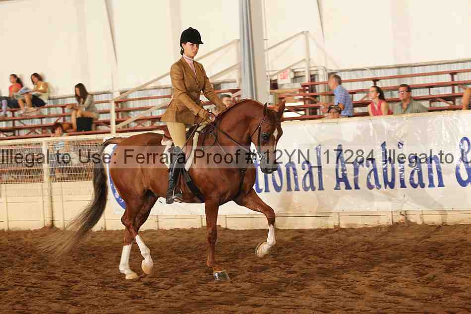 Proof Number 12yn_17284