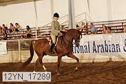 12yn_17289 thumbnail