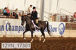 12yn_17301 thumbnail