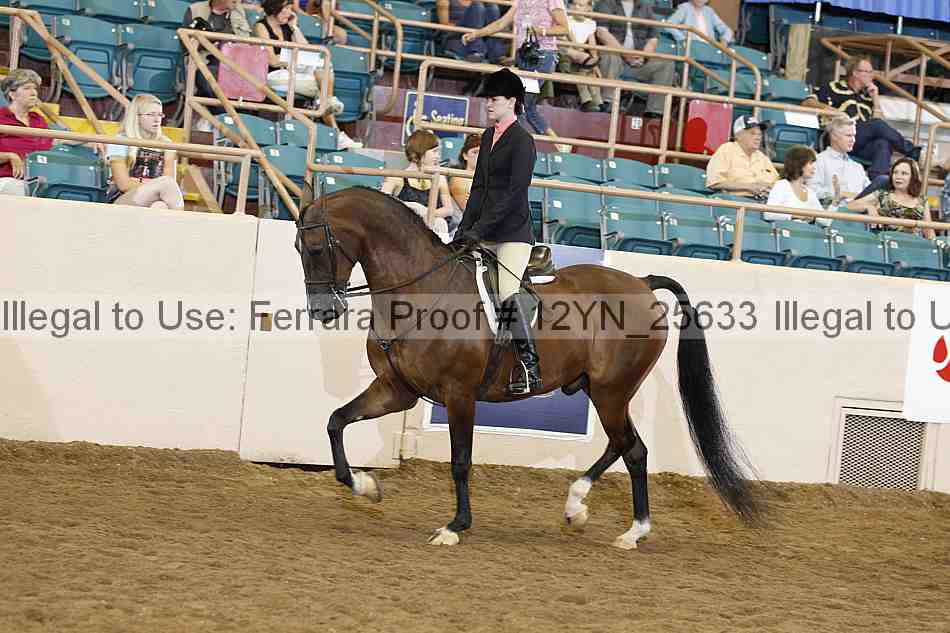 Proof Number 12yn_25633