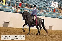 12yn_25781 thumbnail