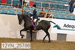 12yn_25786 thumbnail