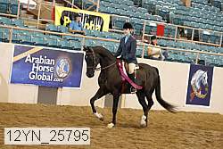 12yn_25795 thumbnail