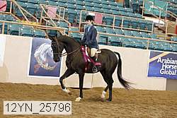 12yn_25796 thumbnail