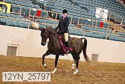 12yn_25797 thumbnail